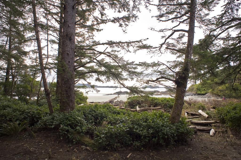 Wickaninnish Inn Tofino Bilik gambar